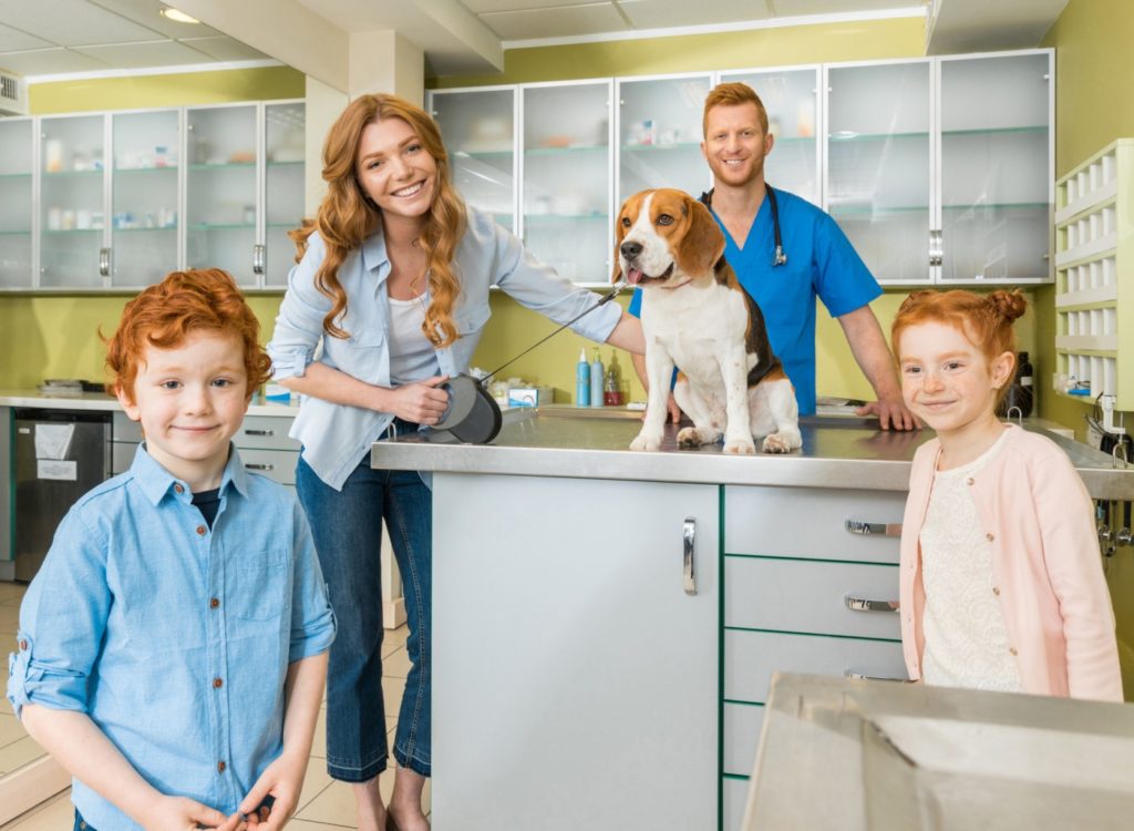 Business Brokers for veterinarian and petcare businesses