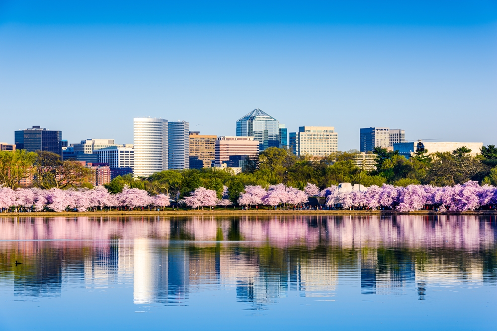 Washington D.C Skyline